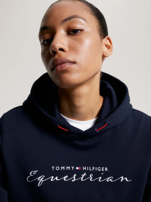 Tommy Hilfiger Metallic Graphic Logo Hoodie Desert Sky
