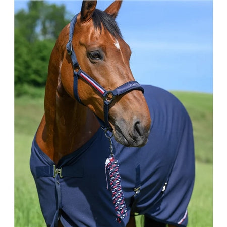 Tommy Hilfiger Yale Set Halter and Lead Rope