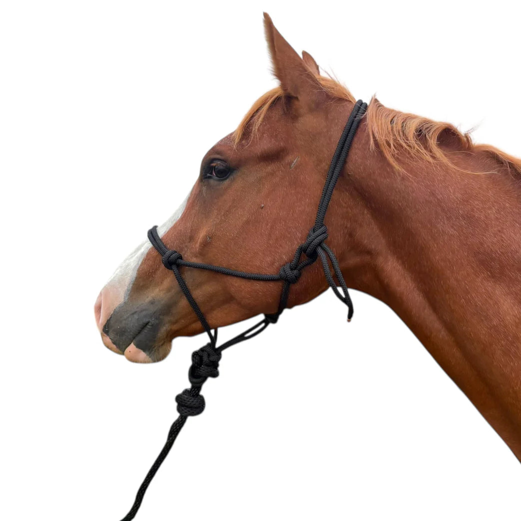 Toprail Knotted Rope Halter and Lead | Horse Supplies - Halter | Saddleworld Ipswich