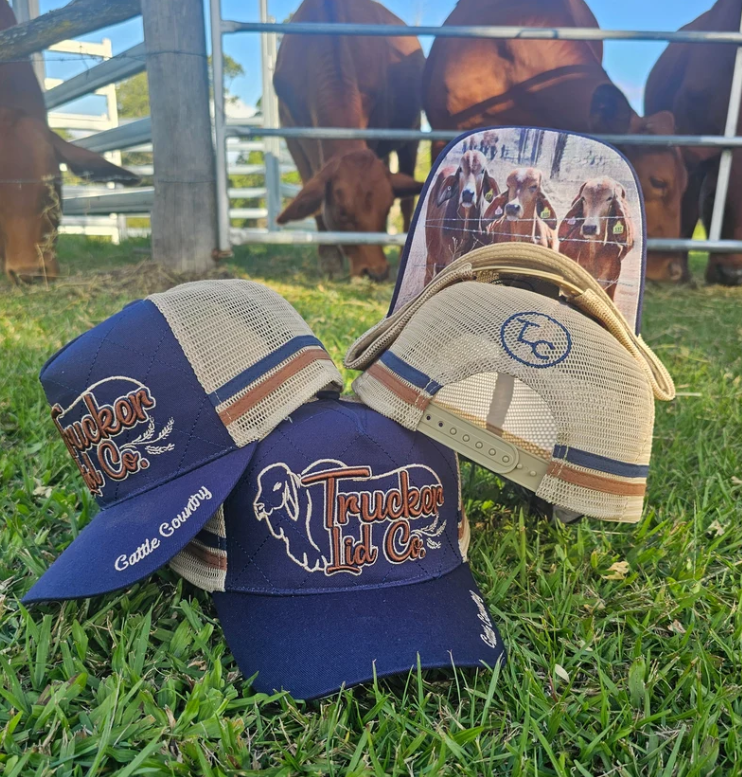Trucker Lid Co - Cattle Country | Country Clothing - Caps | Saddleworld Ipswich