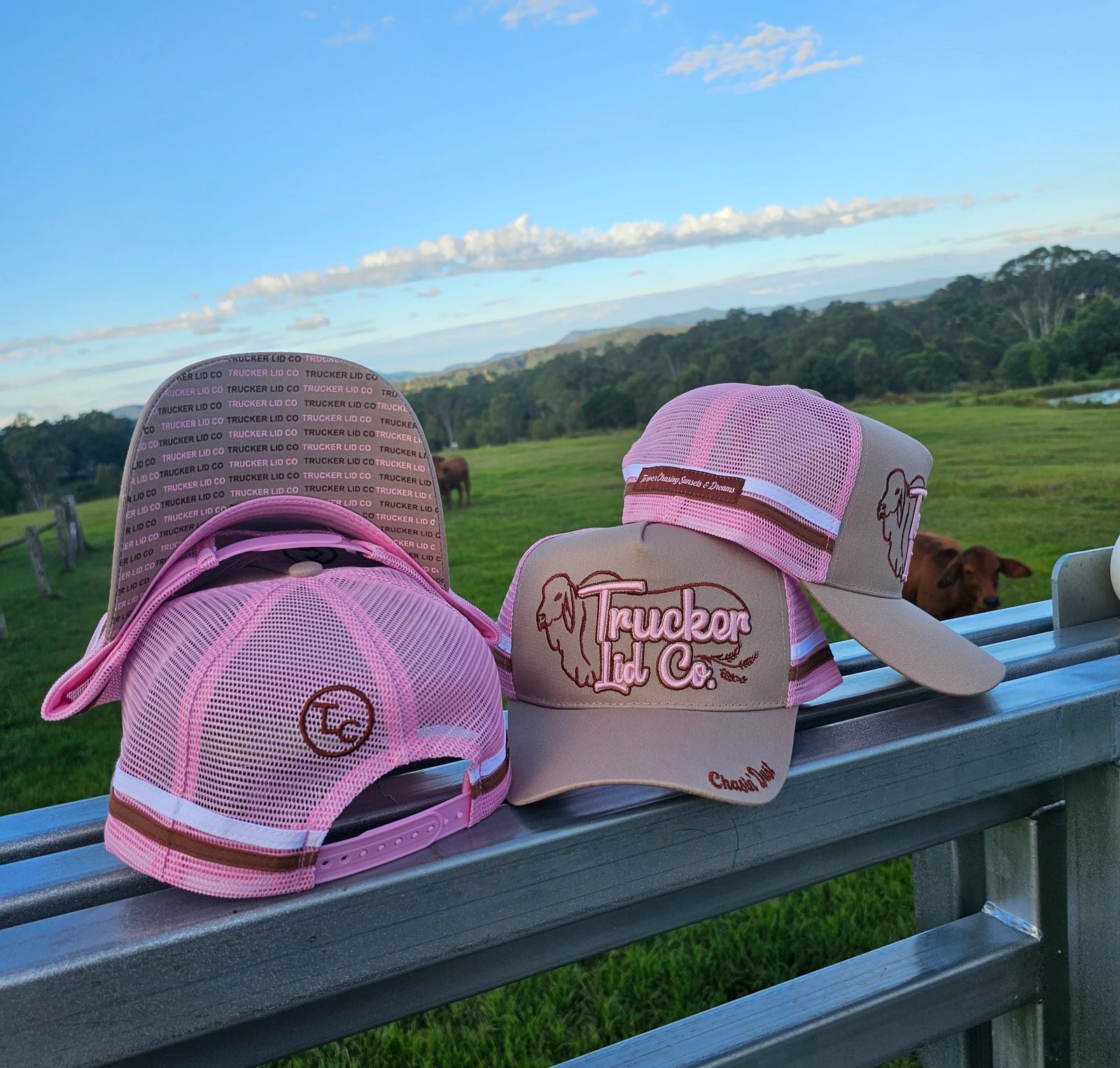 Trucker Lid Co - Chasin Dust | Country Clothing - Caps | Saddleworld Ipswich