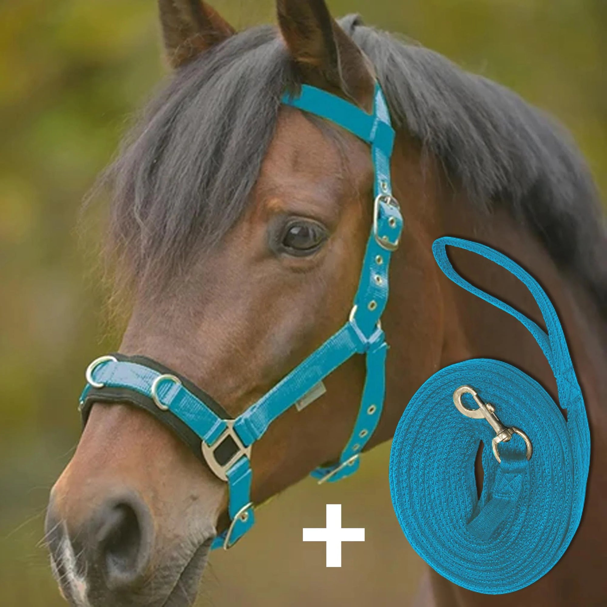 Waldhausen Lunging Cavesson and Rope Set | Horse Supplies - Lunge | Saddleworld Ipswich