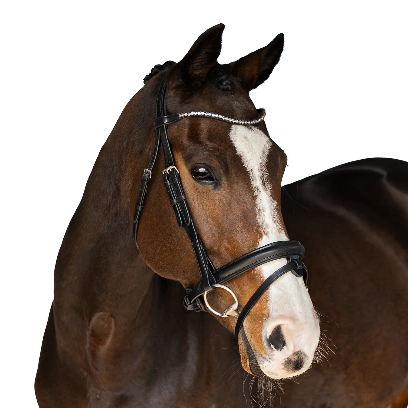 Flexible Fit Premium Black Snaffle Bridle Splendor