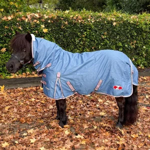 Zilco Mini Guardian Combo | Horse SUpplies - Rug | Saddleworld Ipswich