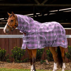 Zilco Supashade Purple Combo | Horse Supplies - Summer Rugs | Saddleworld Ipswich