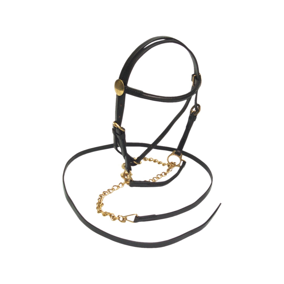 Eureka Lead In Nickel Plated Bridle