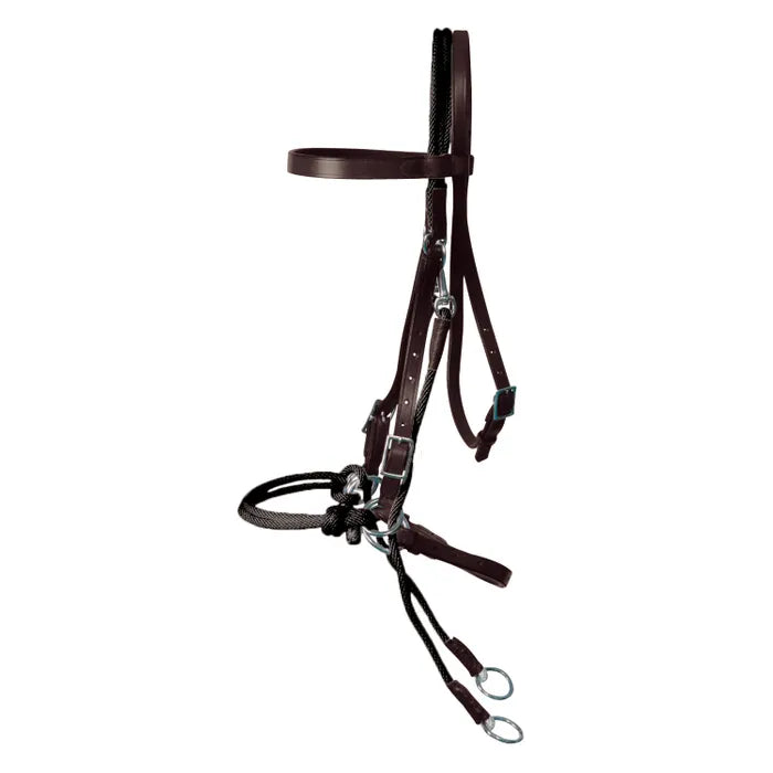 Ammo Bitmore Bridle