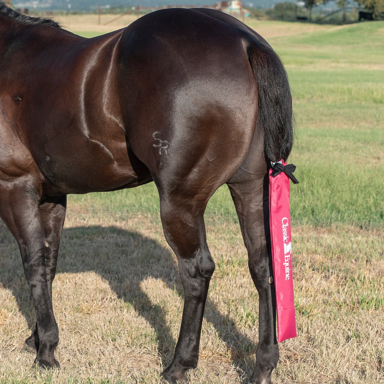 Classic Equine Slick Tail Bag