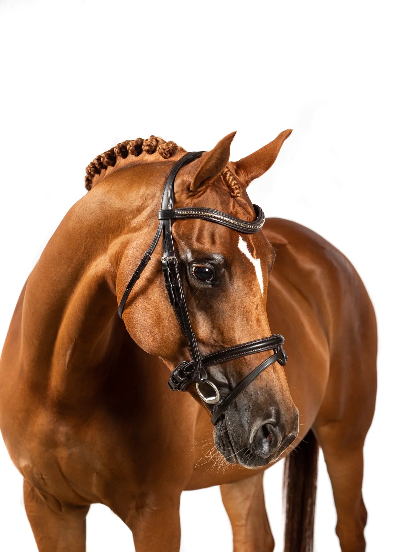 Flexible Fit Clincher Wave Snaffle Bridle