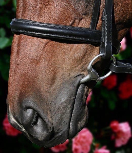 Flexible Fit Clincher Wave Snaffle Bridle