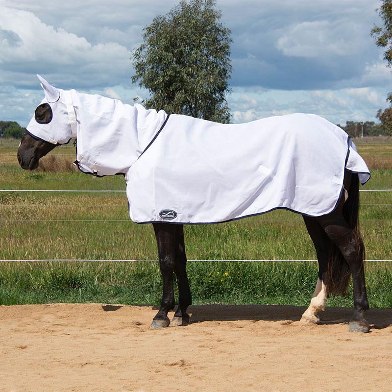 Eurohunter Flag Protect