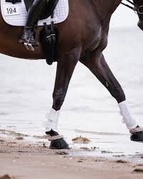 Equisk Total Cool Brushing Boot