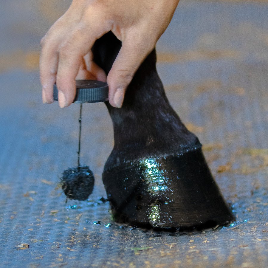 Nolian Enterprises Hoof Safe Shine