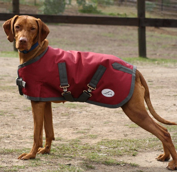 Eurohunter Thredbo II Dog Rhubarb