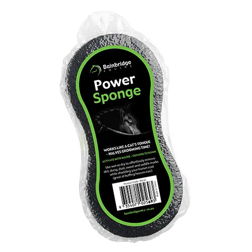 Bainbridge Power Sponge