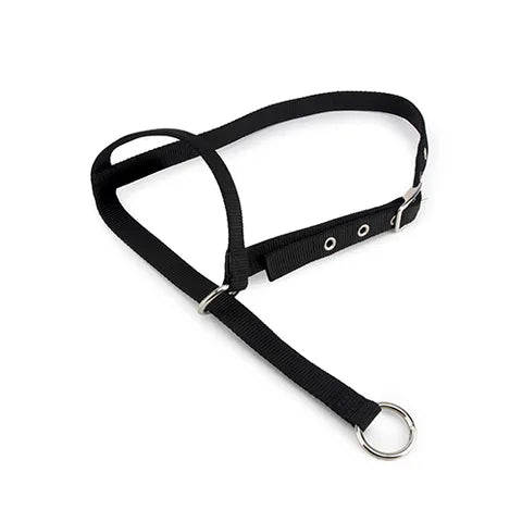 Bainbridge Leading Cow Halter