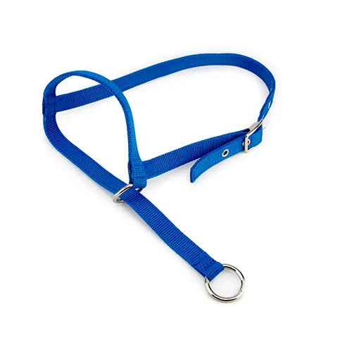 Bainbridge Leading Calf Halter