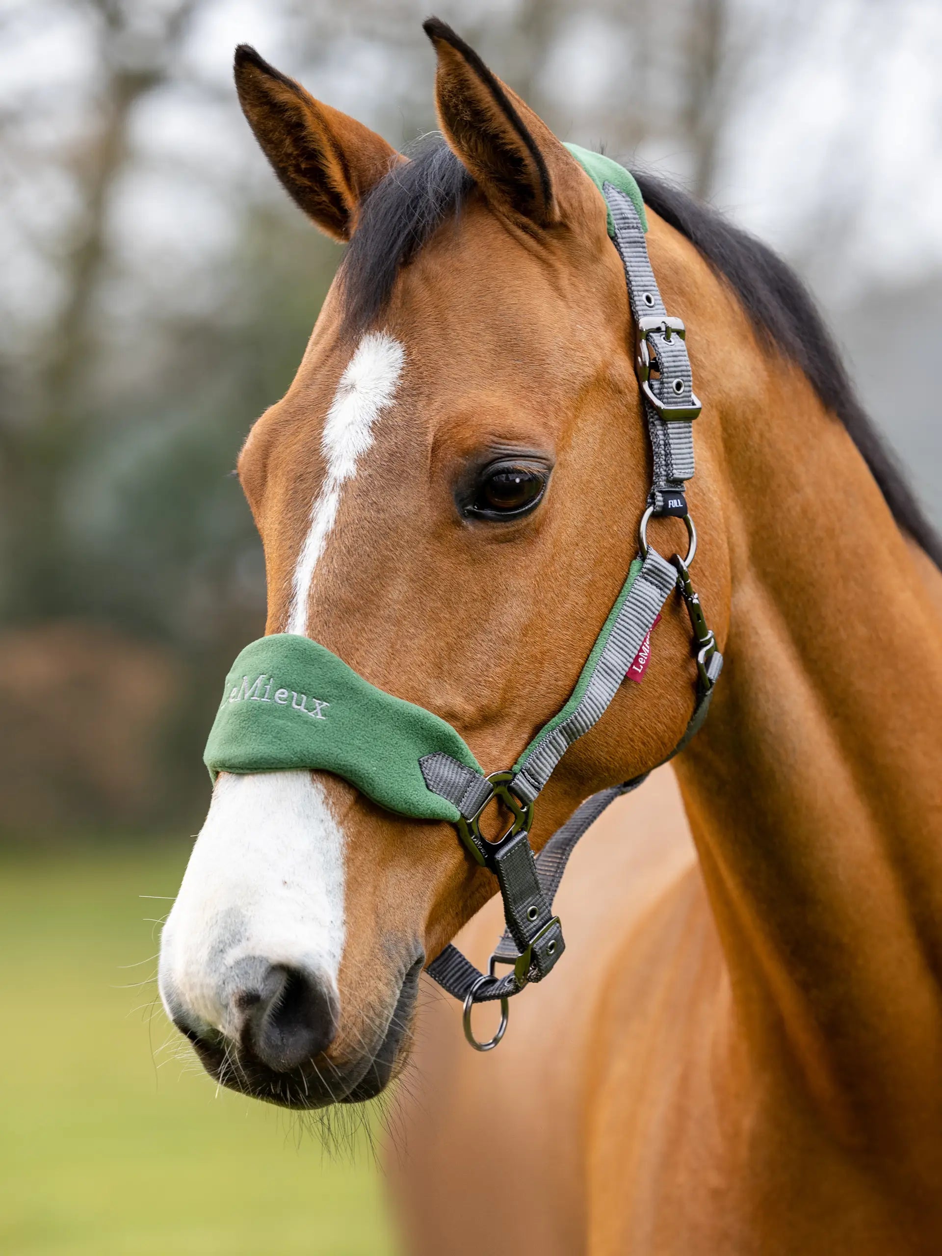 LeMieux Vogue Halter and Lead Set Hunter Green | Saddleworld Ipswich | Horse Supplies | Halters and Lead
