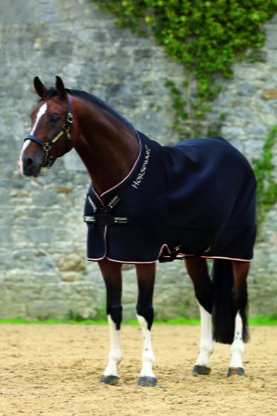 Rambo Airmax Cooler Disc Front