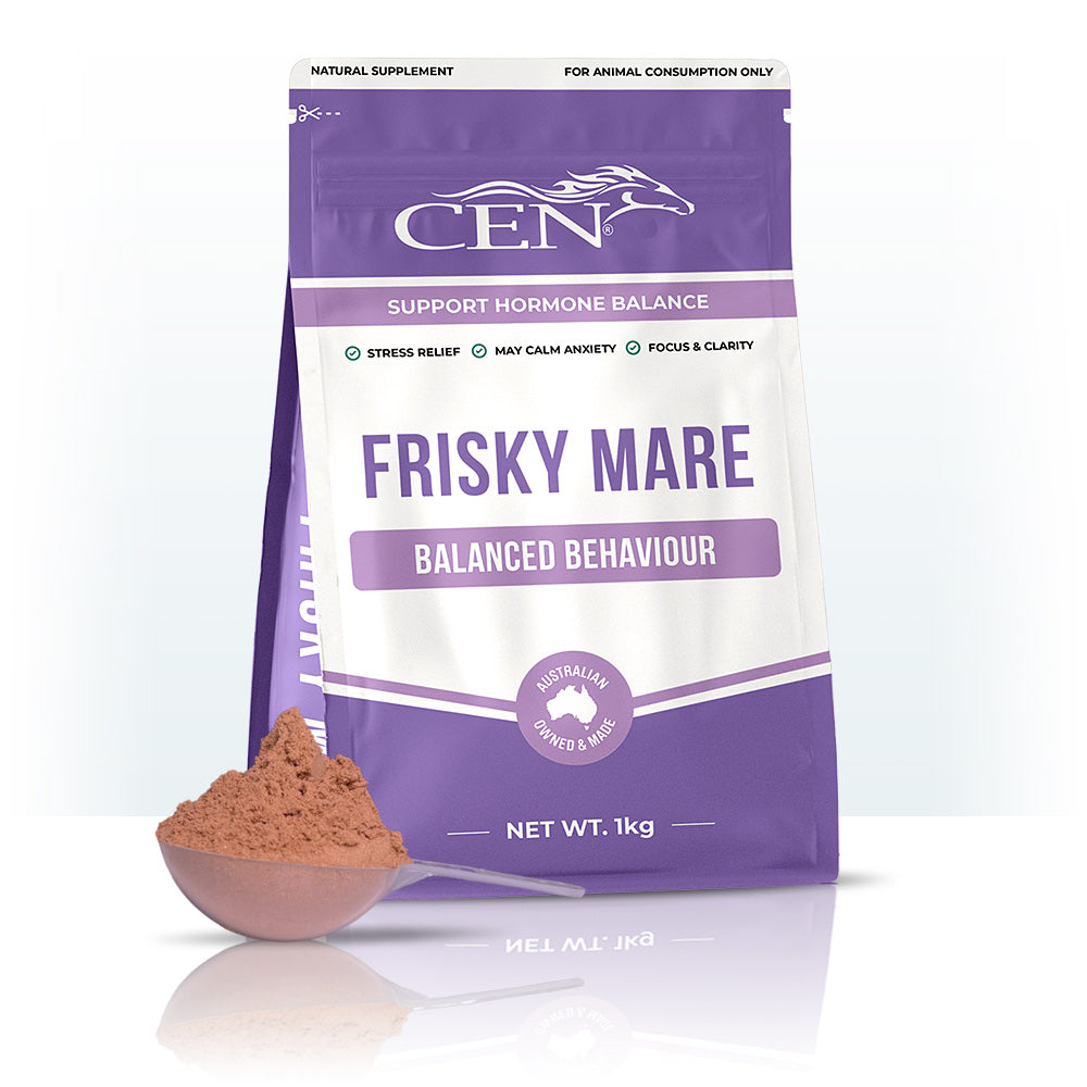 CEN Frisky Mare