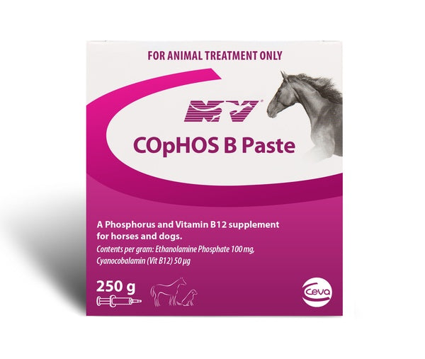 Nature Vet Cophos B Paste 250gm