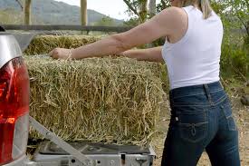 Justin A2 Womens 1879 High Rise Boot Cut Jean