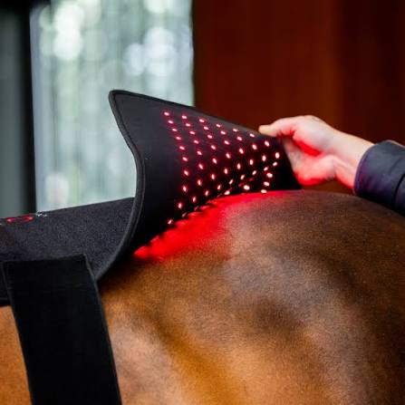 Horseware LED Red Light Therapy Pad | Horse Supplies - Horse Boots | Saddleworld Ipswich