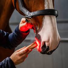 Horseware LED Red Light Therapy Wand | HOrse Supplies - Horse Boots | Saddleworld Ipswich