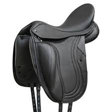 PDS Brioso Carl Hester