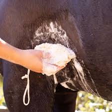 Hairy Pony Kakadu Plum Shampoo Bar