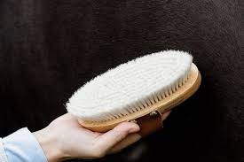 Kentucky Small Overall Brush Small