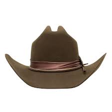 Charlie 1 Horse Lainey Wilson Songbird Chocolate