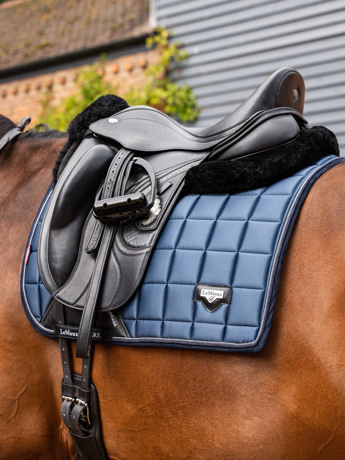 LeMieux Loire Classic Dressage Square