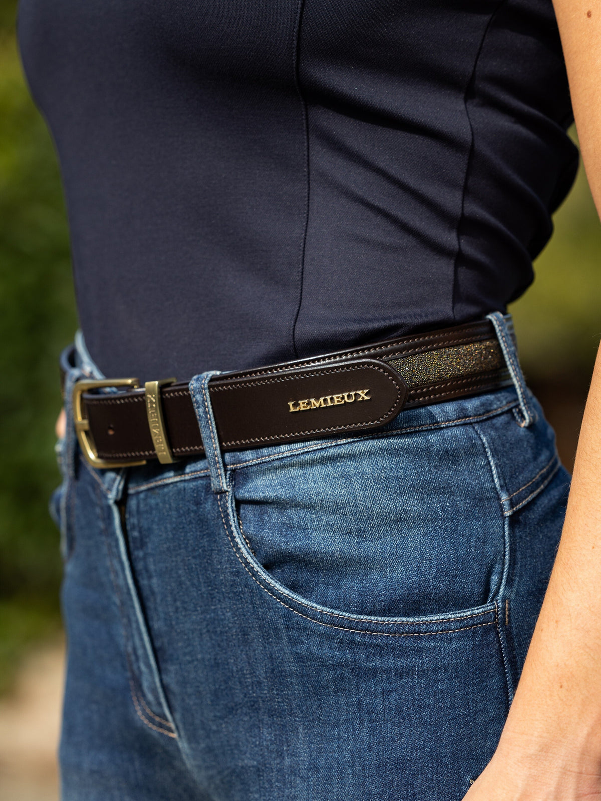 LeMieuxCrystalInsertBeltBrown | Country Clothing - Belts | Saddleworld Ipswich
