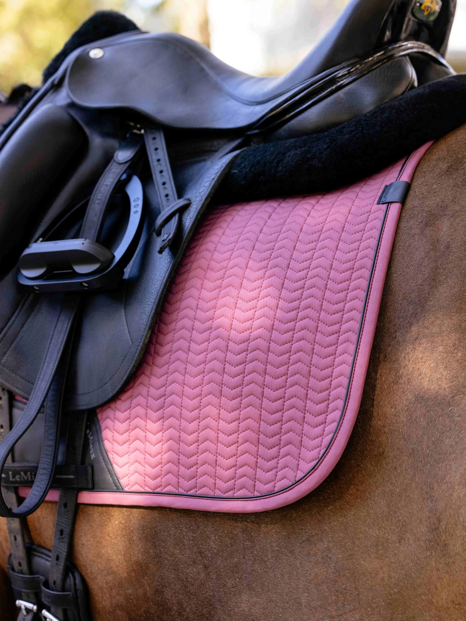 LeMieux Essence Dressage Square