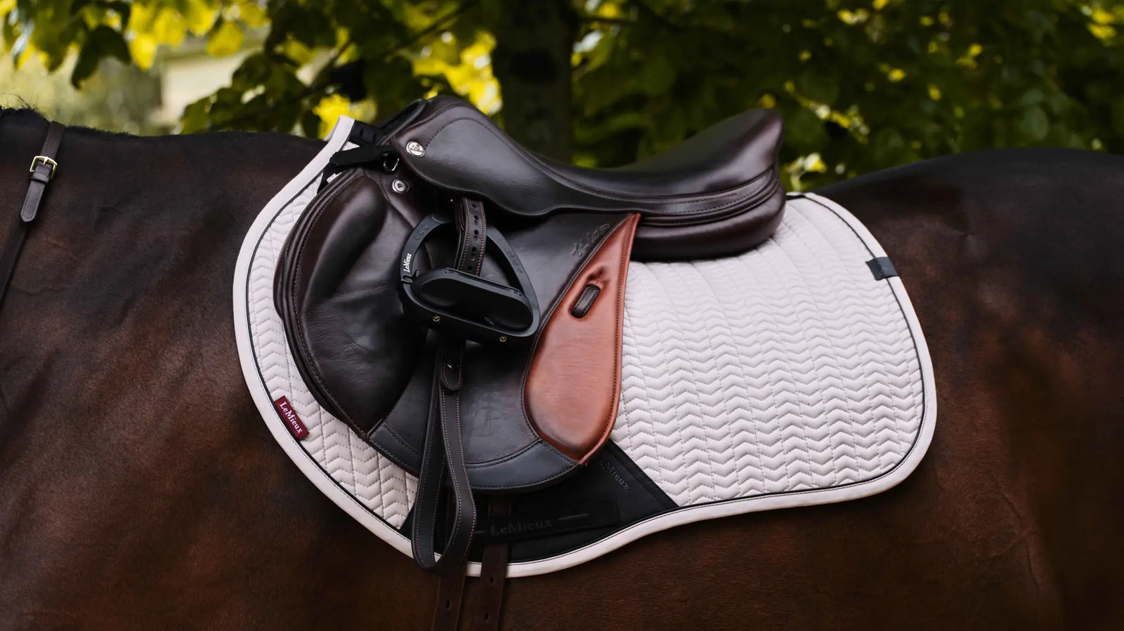 LeMieux Essence Eurojump Square