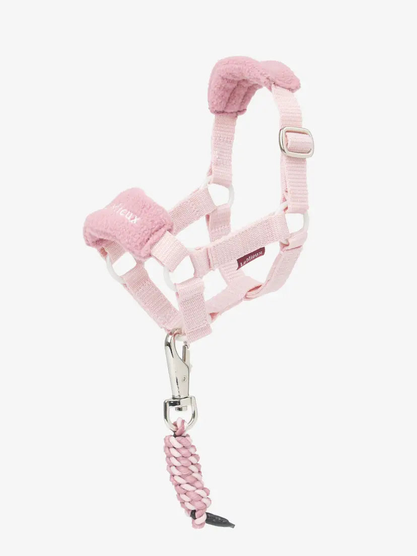 LeMieux Toy Pony Vogue Headcollar and Leadrope Blossom One Size