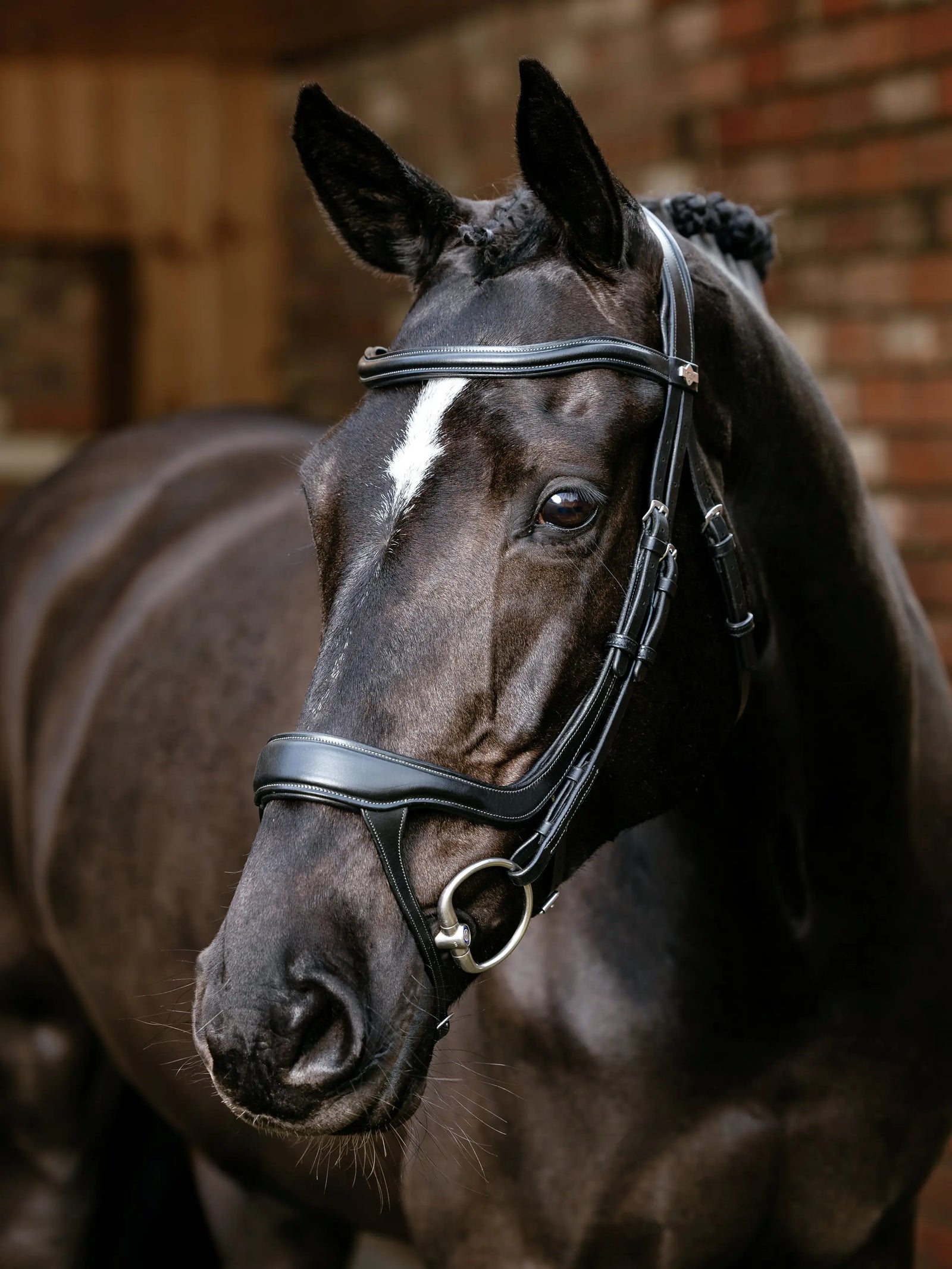 LeMieux Arika Split Noseband Bridle