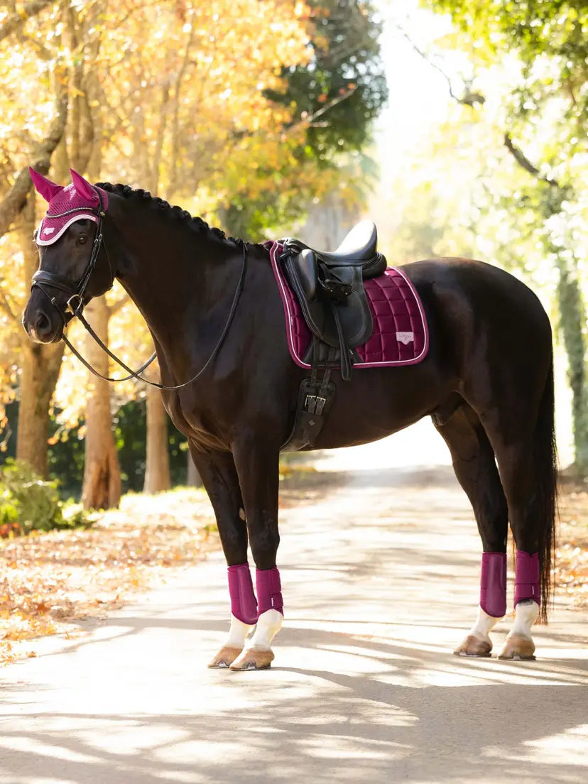 LeMieux Loire Classic Dressage Square