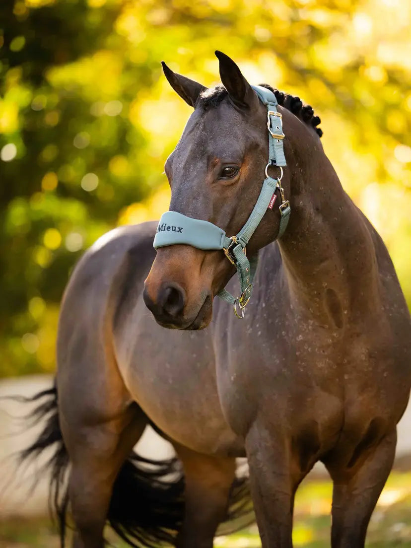 LeMieux Breakaway Vogue Halter and Leadrope