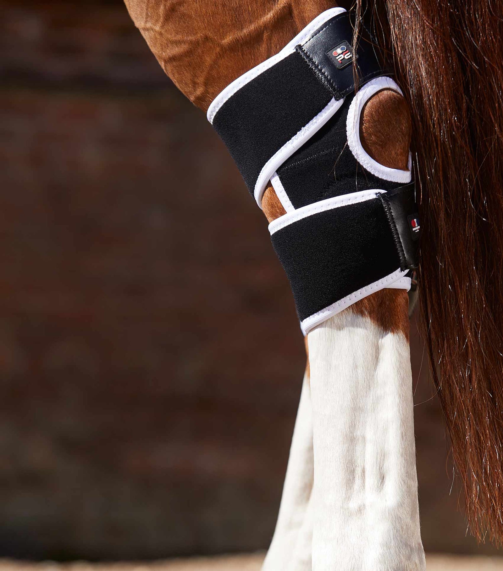 Premier Equine Magni-Teque Magnetic Hock Boots