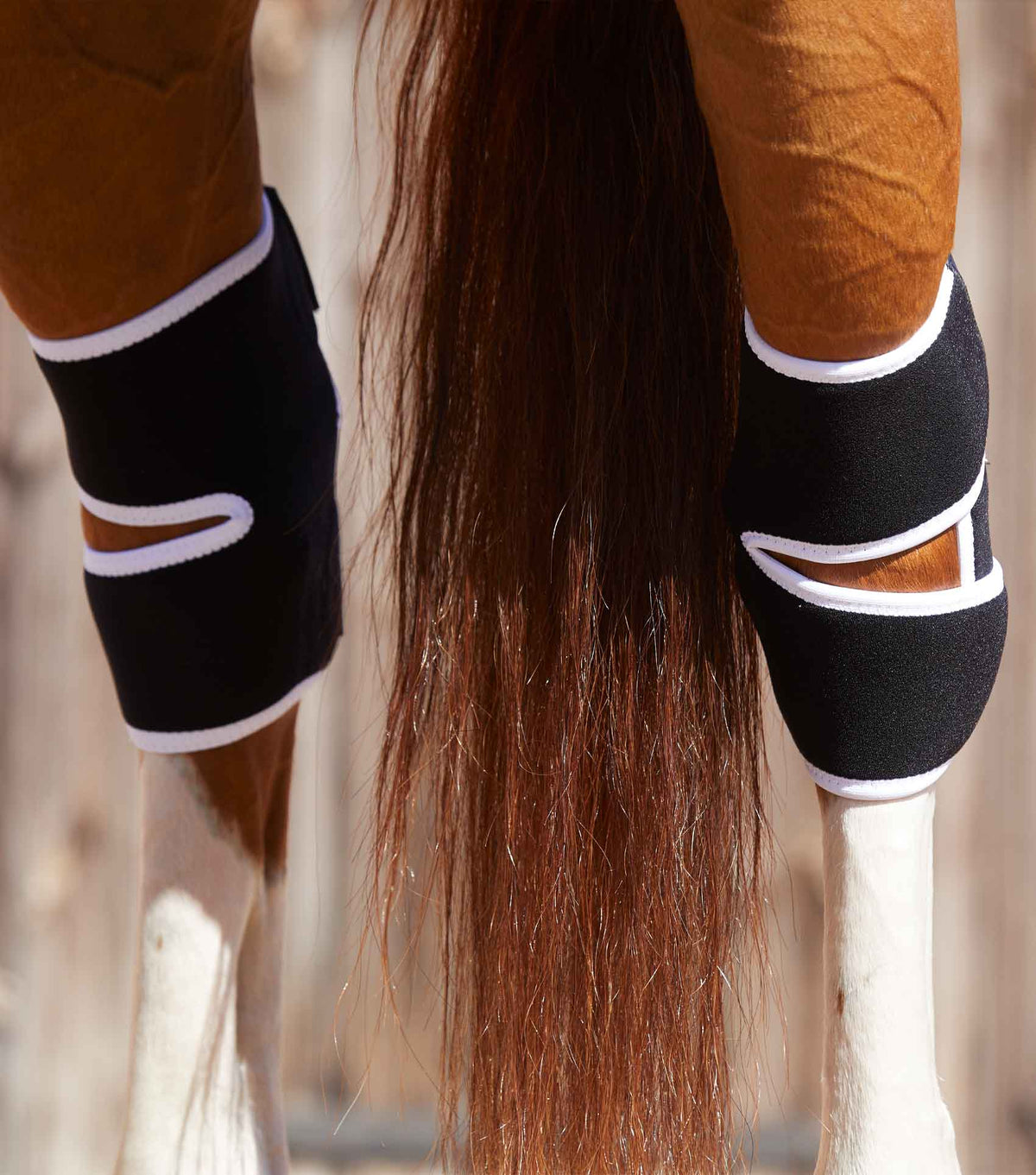 Premier Equine Magni-Teque Magnetic Hock Boots