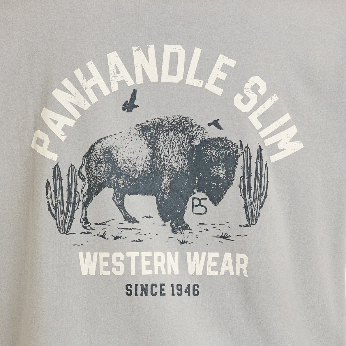 Panhandle Bison Graphic Tee