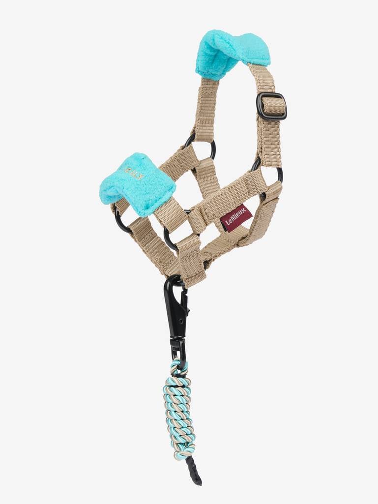 LeMieux Toy Pony Vogue Headcollar Azure One Size