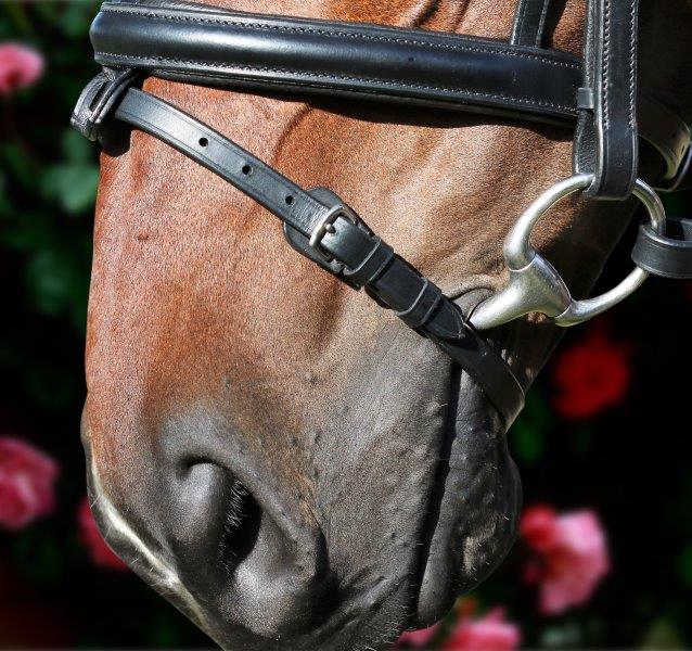 Flexible Fit Clincher Wave Snaffle Bridle