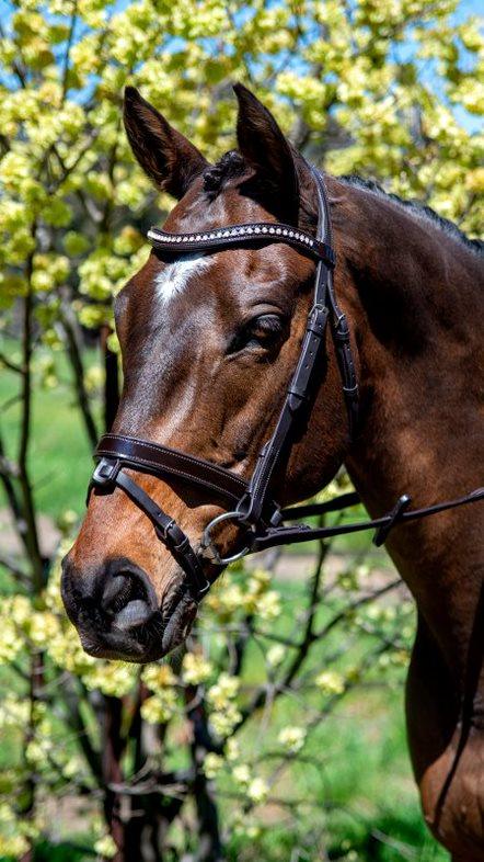 Flexible Fit Patent Mid Thin Crystal Wave Snaffle Bridle
