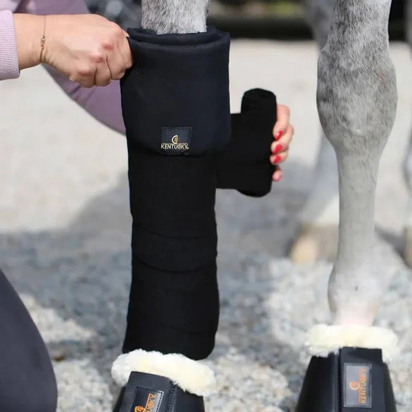 Kentucky Wool Bandages