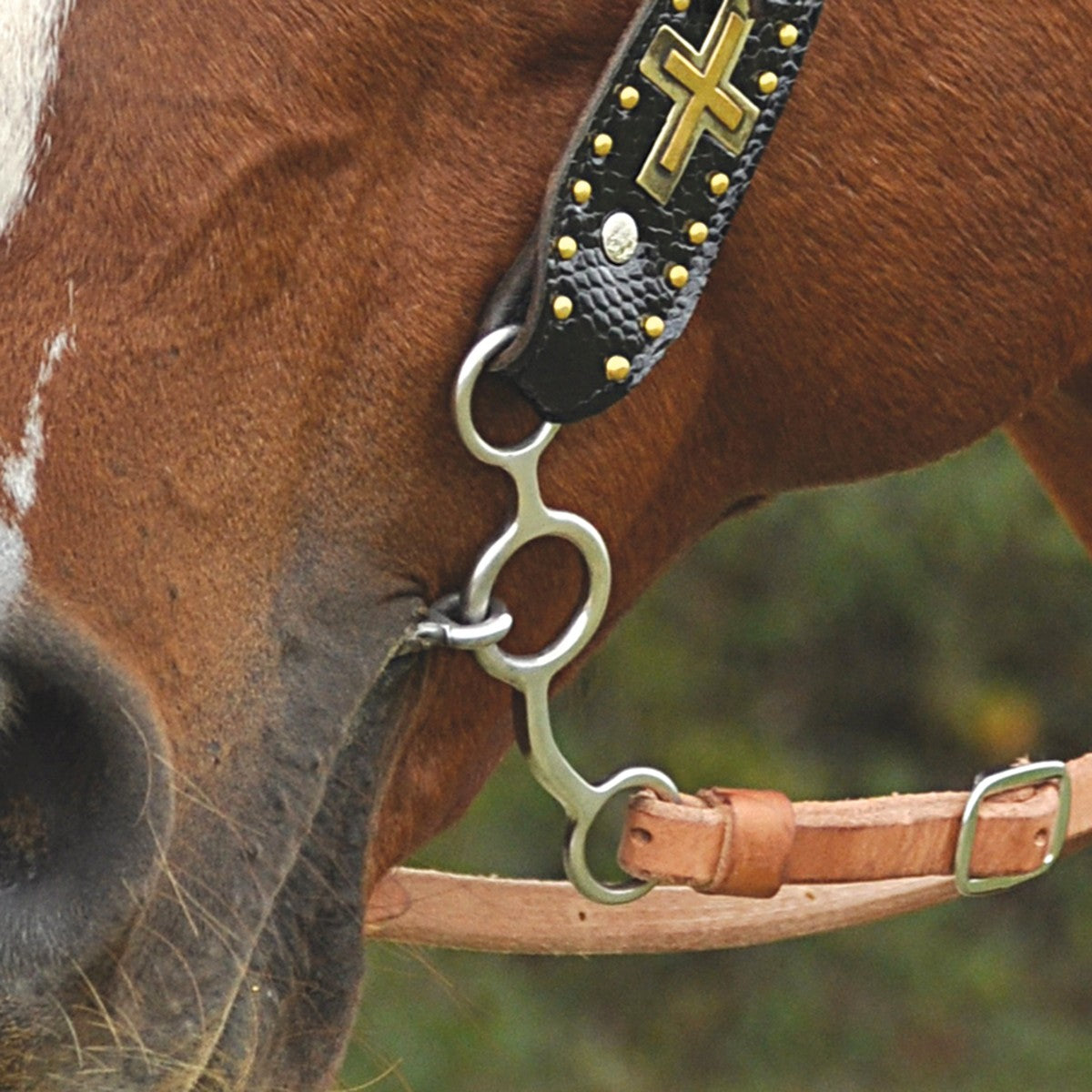 Classic Equine SS Performance Series Bit 5inn Ring Gaga Twisted Wire MP