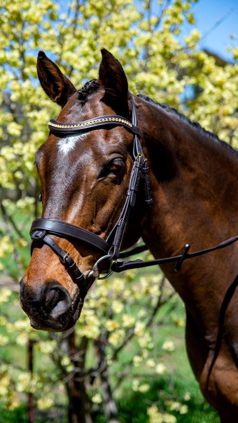 Flexible FIt Topaz Wave Snaffle Bridle with Brass Buckles