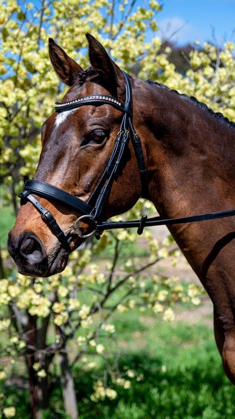 Flexible Fit Topaz Wave Snaffle Bridle with Brass Buckles